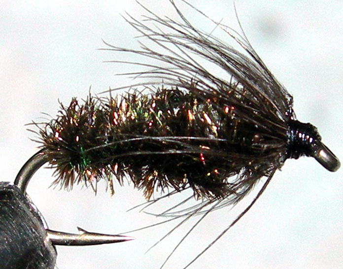 Black&Peacock trout fly