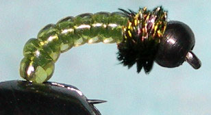 Blackbead Willow Grub peacock thorax trout fly