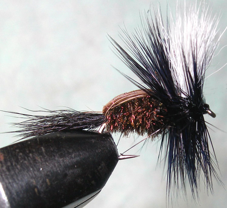 Blowfly Humpy peacock trout fly