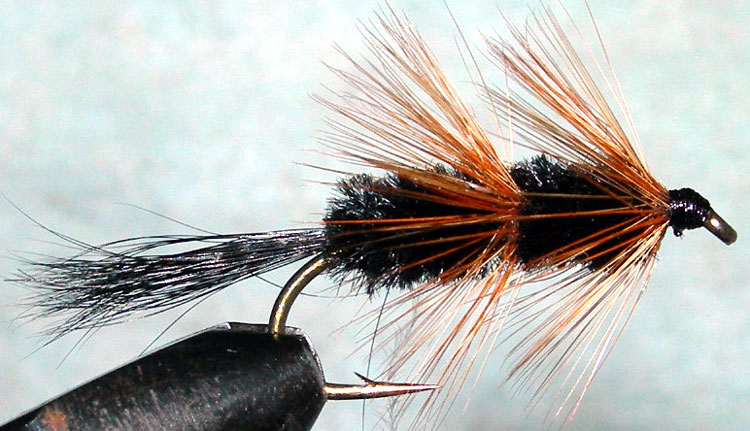 Bomber black trout fly