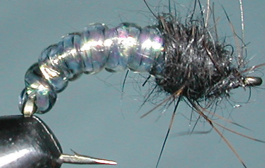 Caddis pearl trout fly