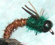 Cadillac Pheasant Tail Green Thorax Blackbead trout fly