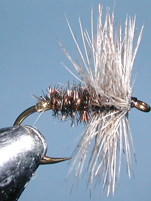 Coch y bondhu gray trout fly