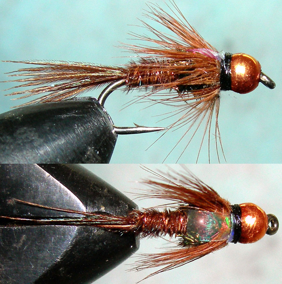 Copperbead Flashback Pheasant Tail trout fly