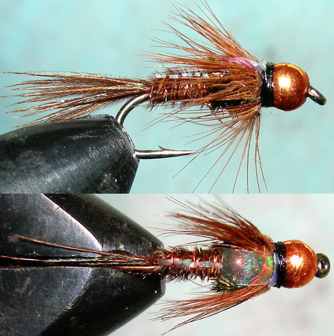Copperbead Full Flashback Pheasant Tail trout fly