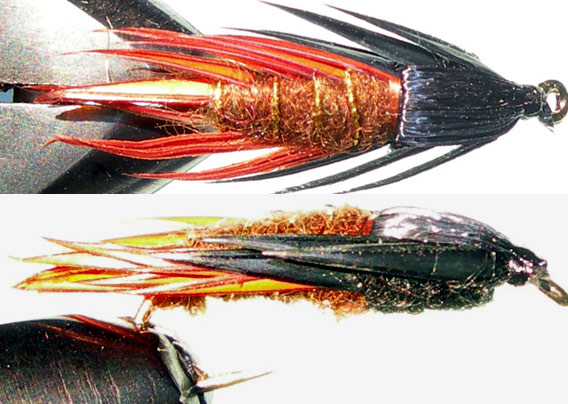 Creeper trout fly