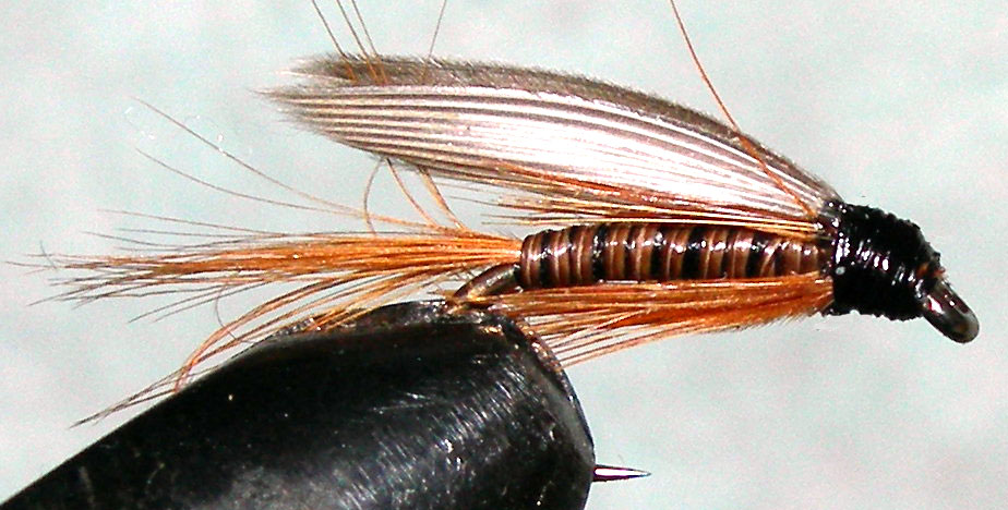 Dads Favourite wetfly trout fly