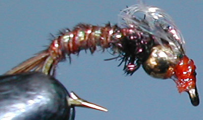 Goldbead Bubbleback Emerger trout fly