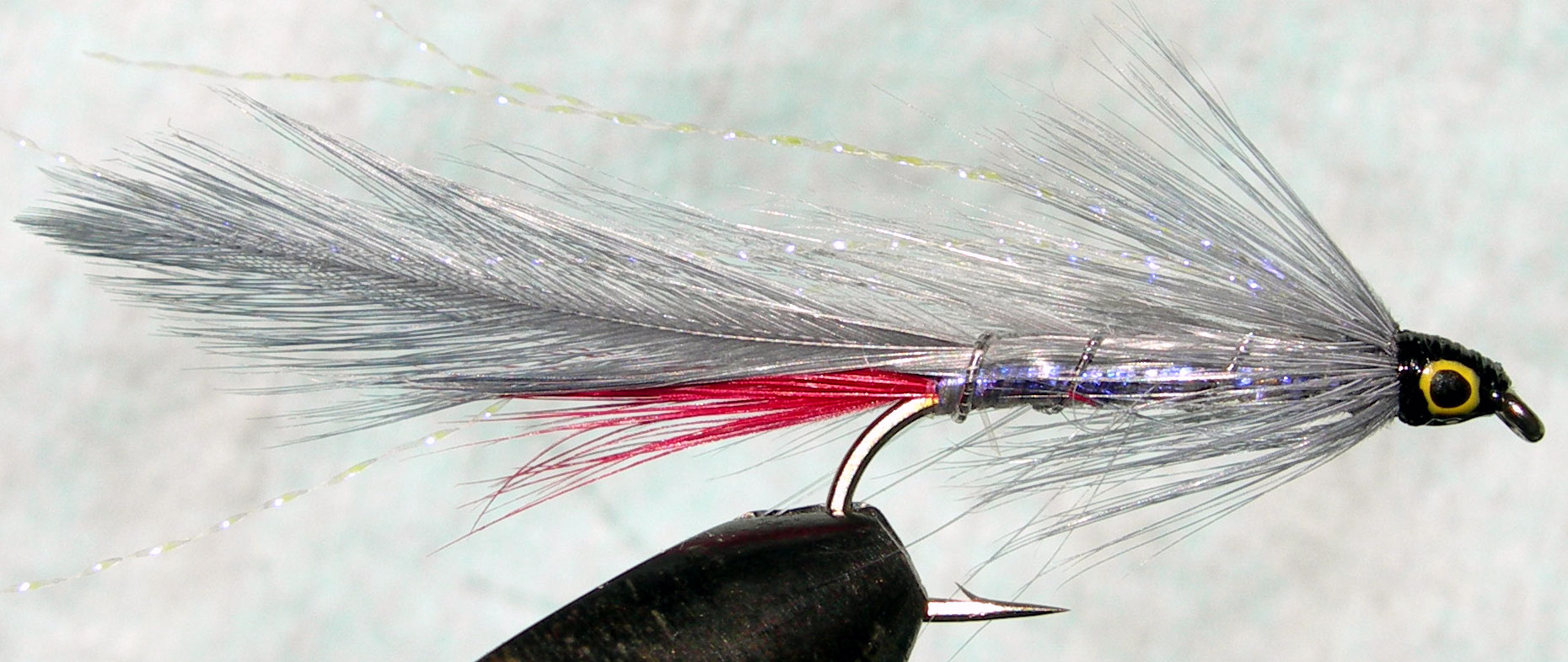 Gray Ghost pearl UV trout fly