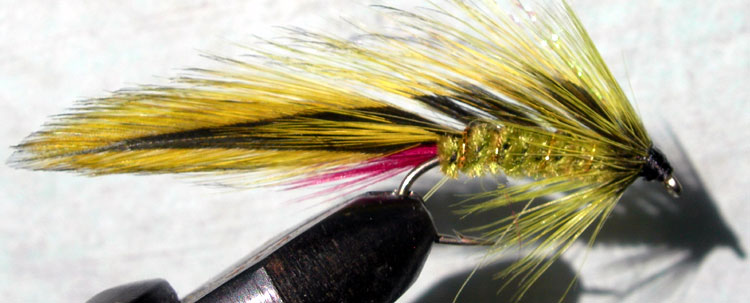 Green Orbit OliveBody trout fly