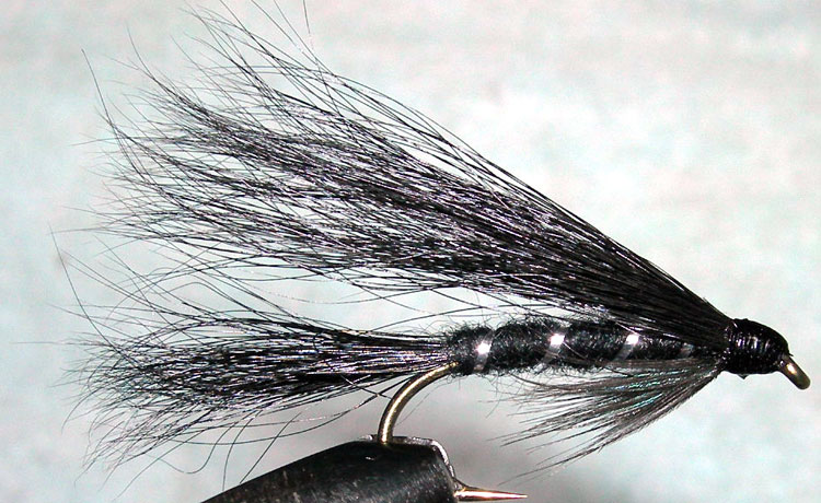 Hairy Dog black trout fly
