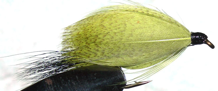 Hamills Killer brown trout fly