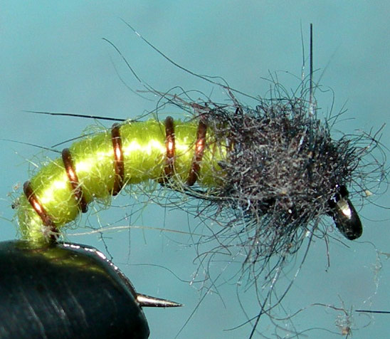 Jeffs Caddis trout fly
