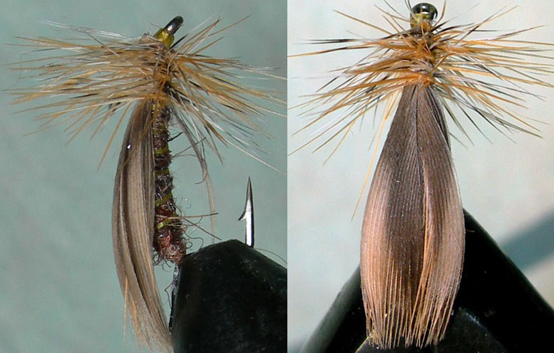 Mallard Wing Caddis trout fly