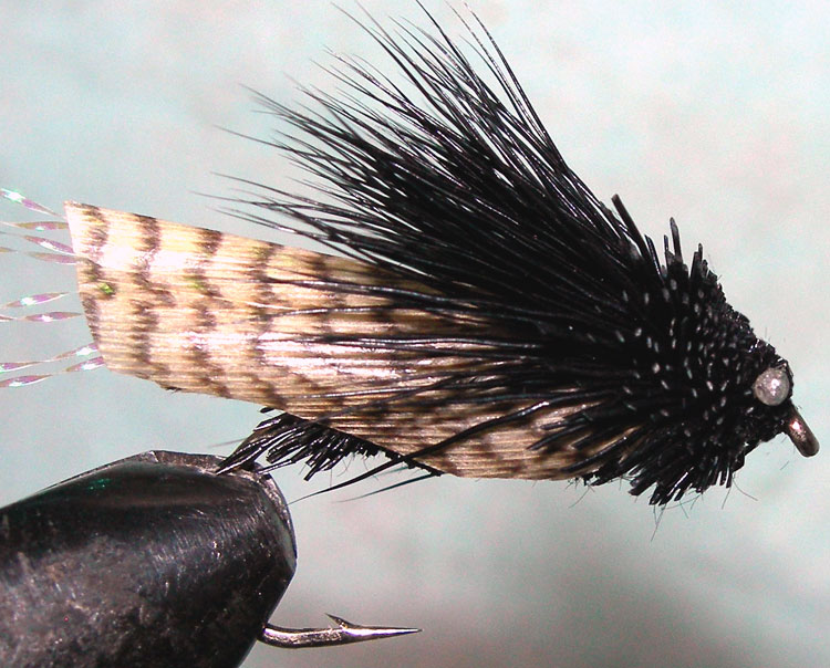 Mallard Wing Cicada black trout fly