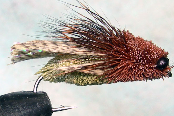 Mallard Wing Cicada brown&olive trout fly