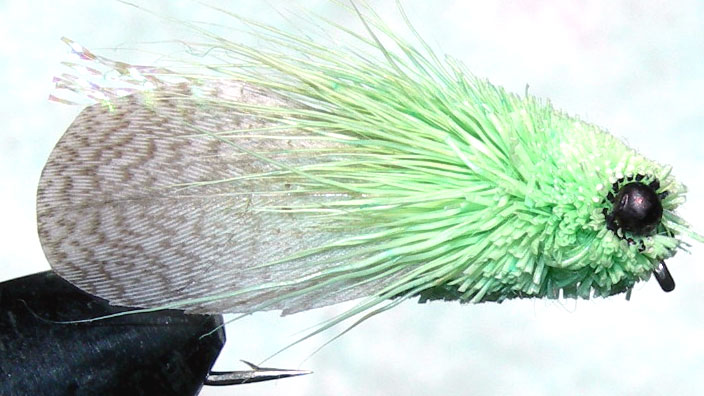 Mallard Wing Cicada mint green trout fly