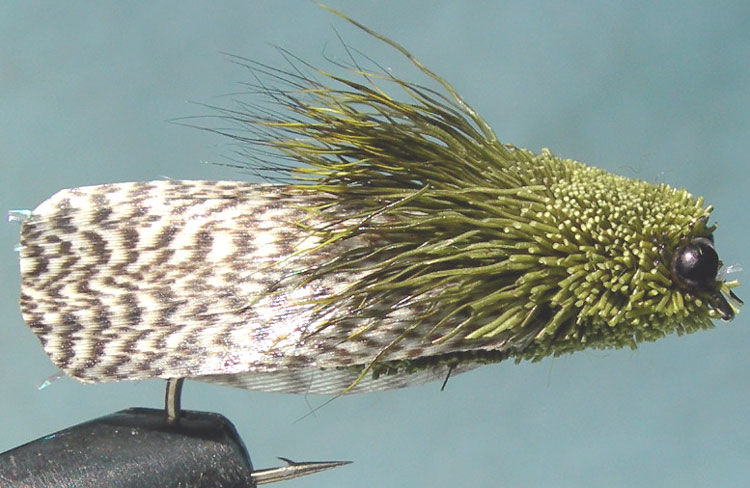 Mallard Wing Cicada olive trout fly