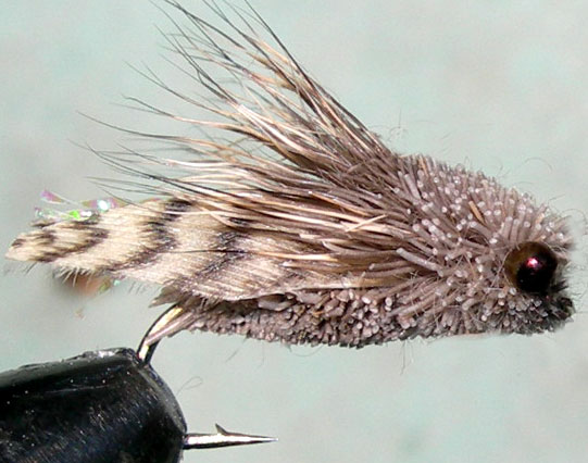 Mountain Cicada Mallard Wing trout fly