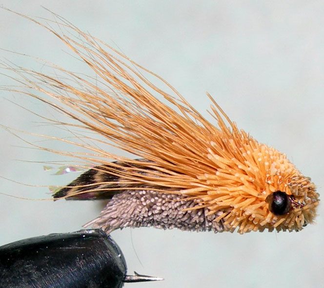 Mountain Cicada beige Mallard Wing trout fly