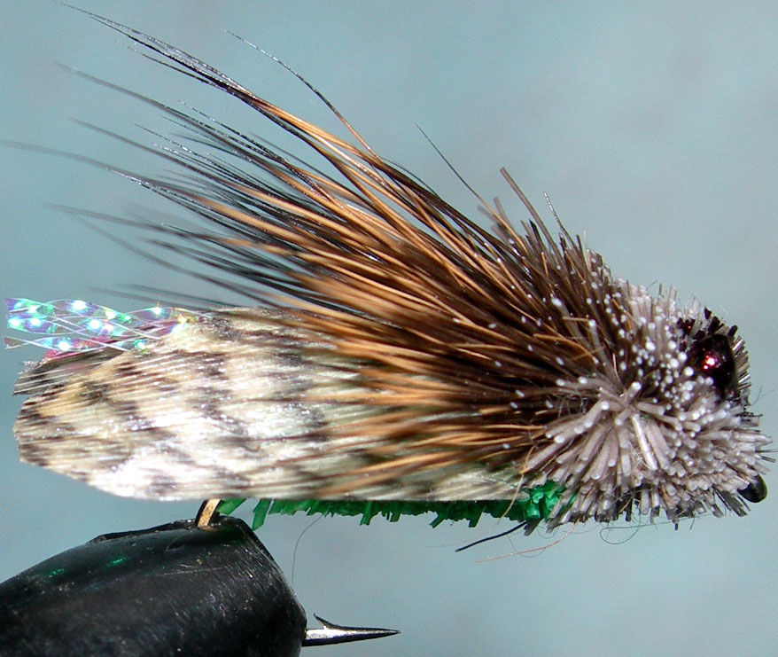 Mountain Cicada green Mallard Wing trout fly