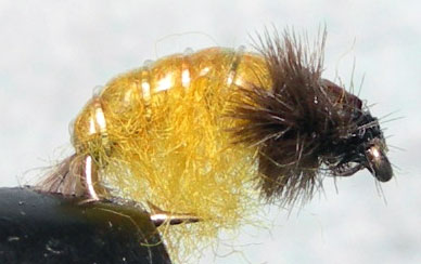 Netbuilder Amber trout fly