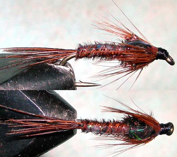 Pheasant Tail Full Flashback trout fly