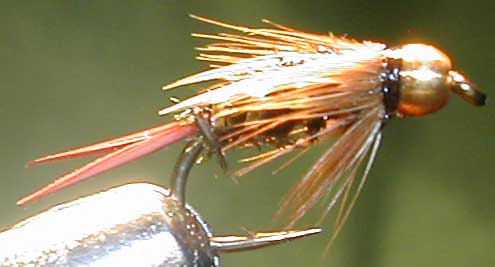 Prince Goldbead trout fly