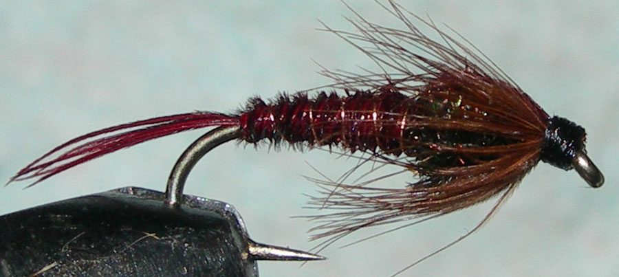 Red Pheasant Tail trout fly