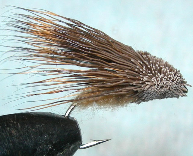 Streaking Caddis trout fly