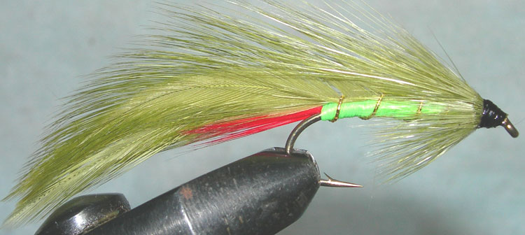 Tims Special trout fly