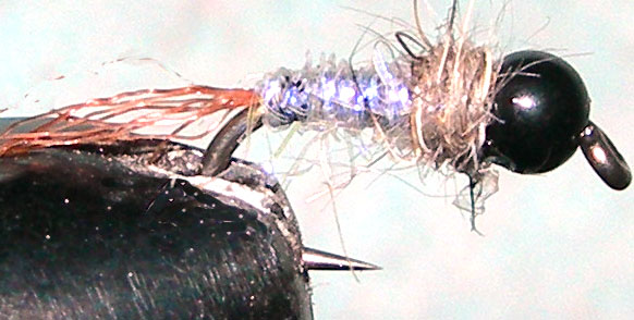 Tungsten Blackbead Dans Nymph trout fly