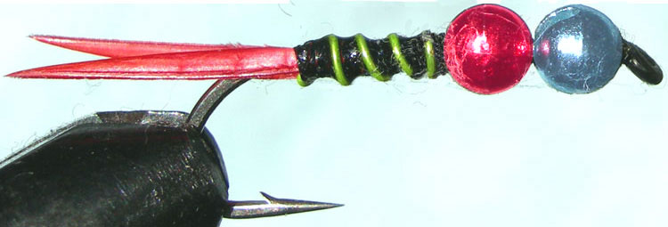 Tungsten Blue&Red lime rib trout fly