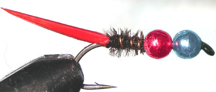 Tungsten Blue&Red peacock trout fly