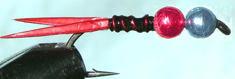 Tungsten Blue&Red red rib trout fly