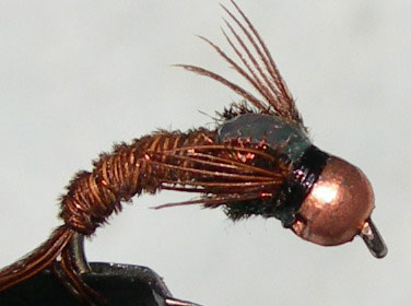 Tungsten Copperbead Quasimoto trout fly