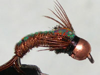 Tungsten Copperbead Quasimoto Doubleback Flash trout fly