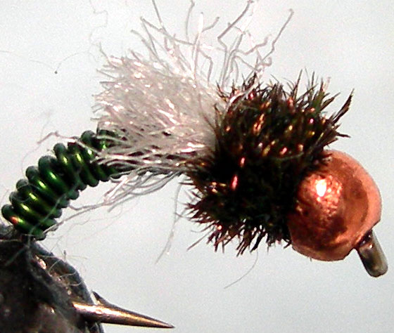 Tungsten Copperbead Z Wing green trout fly
