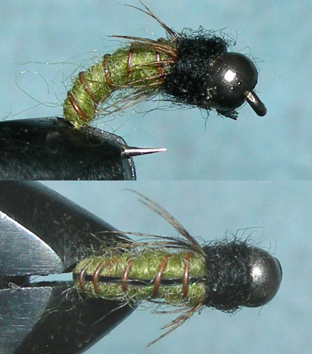 Tungsten Nickelbead Flashback Caddis Olive trout fly