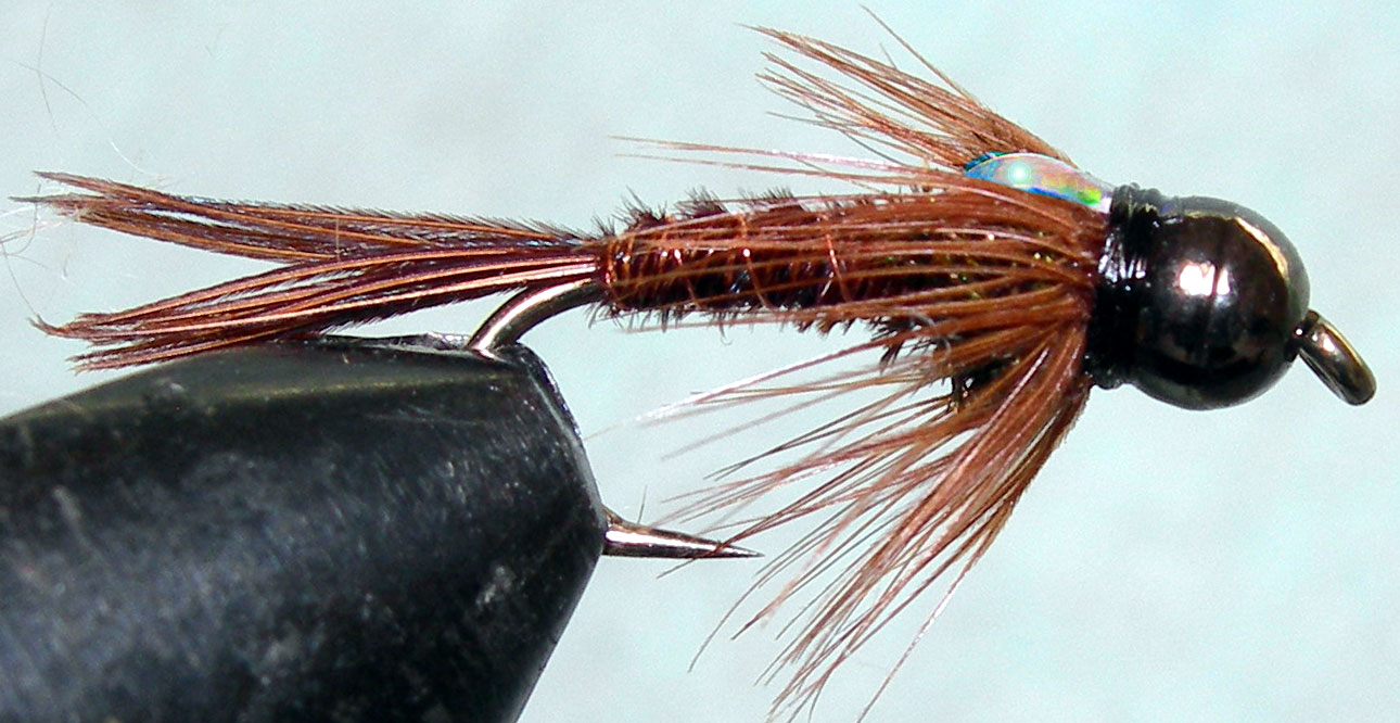 Tungsten Nickelbead Flashback Pheasant Tail trout fly