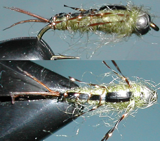 Tungsten Nickelbead Nymph Deluxe trout fly