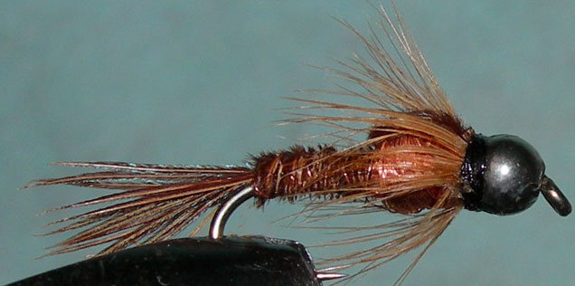 Tungsten Nickelbead Pheasant Tail copper thorax trout fly