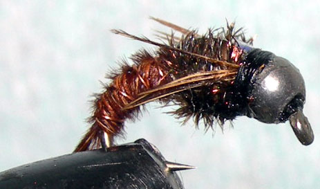 Tungsten Nickelbead Quasimoto trout fly