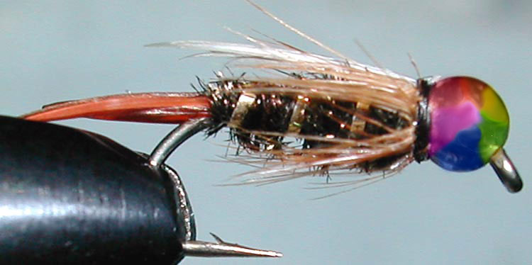 Tungsten Rainbowbead Prince trout fly