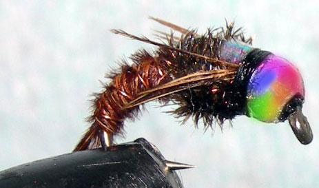 Tungsten Rainbowbead Quasimoto trout fly