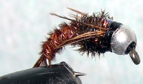 Tungsten Silverbead Quasimoto trout fly