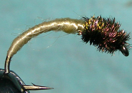 Willow Grub peacock thorax trout fly