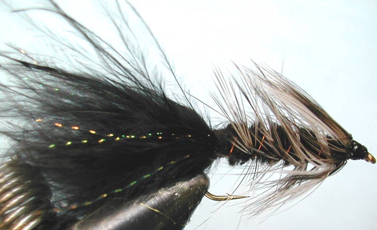 Woolly Bugger 3XL grizzly&black trout fly
